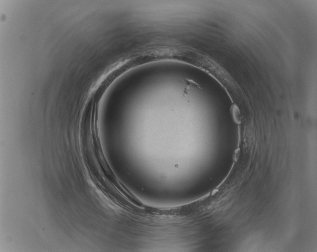 X0000062610722200512211136