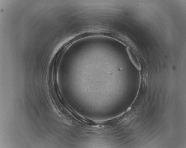 X0000062610724200512211136