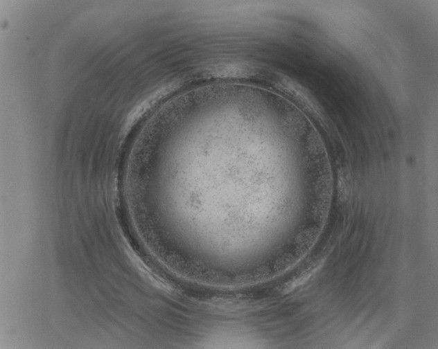 X0000062610725200512211136