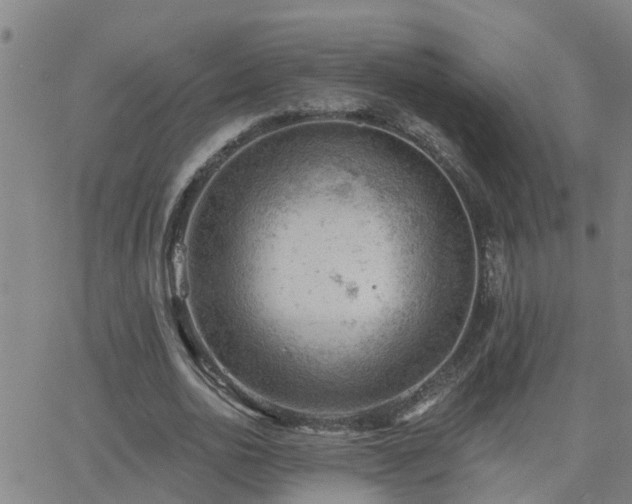 X0000062610726200512211136