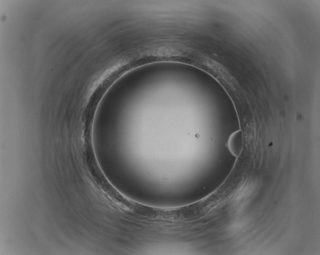 X0000062610727200512211136