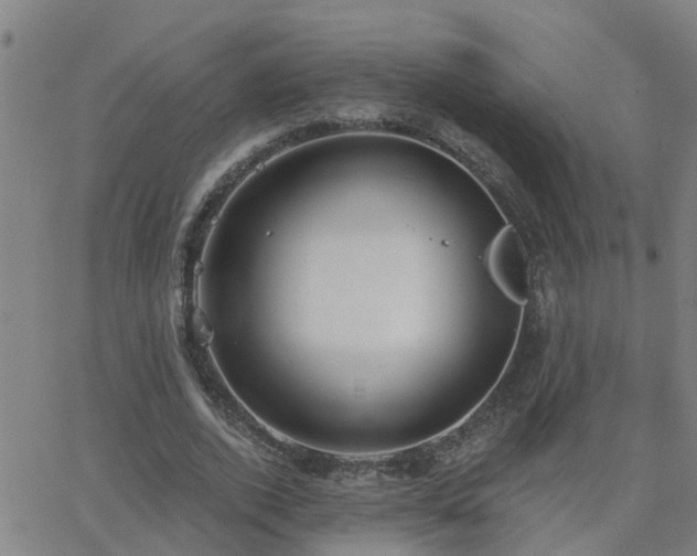 X0000062610728200512211136