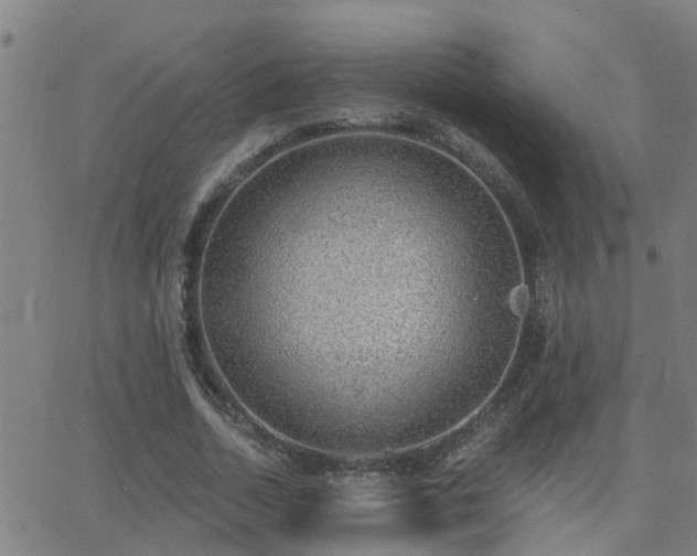 X0000062610730200512211136