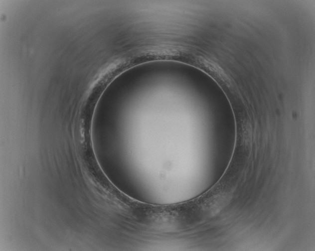 X0000062610731200512211136