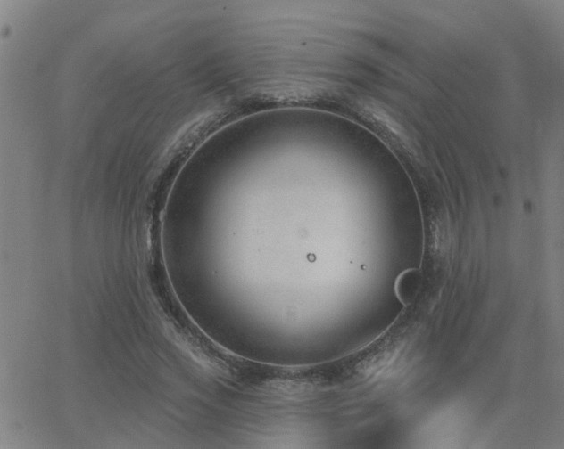 X0000062610733200512211136