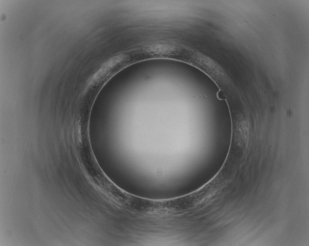 X0000062610734200512211136