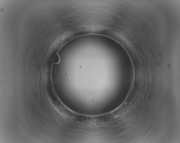 X0000062610736200512211136