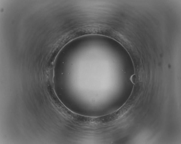 X0000062610737200512211136