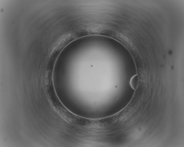 X0000062610738200512211136