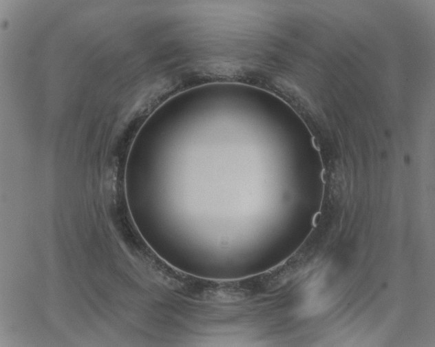 X0000062610739200512211136