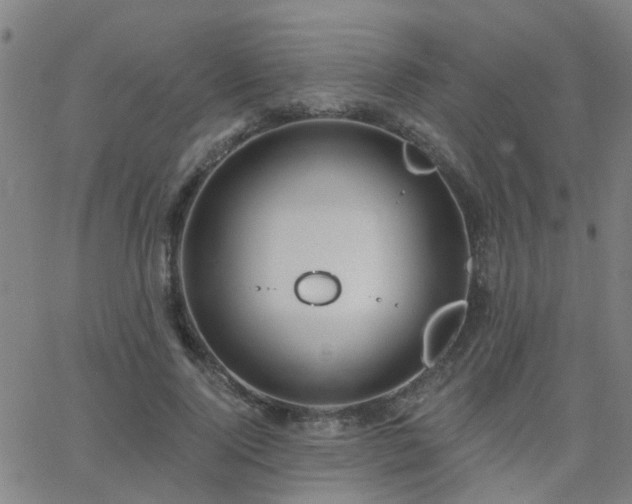 X0000062610740200512211136