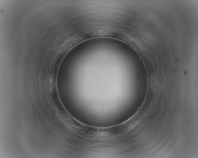 X0000062610741200512211136