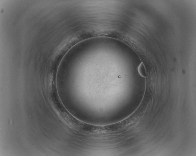 X0000062610742200512211136