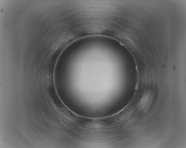 X0000062610743200512211136