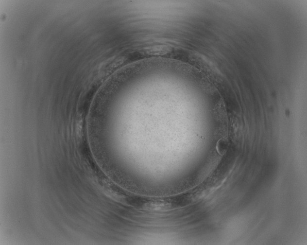 X0000062610745200512211136