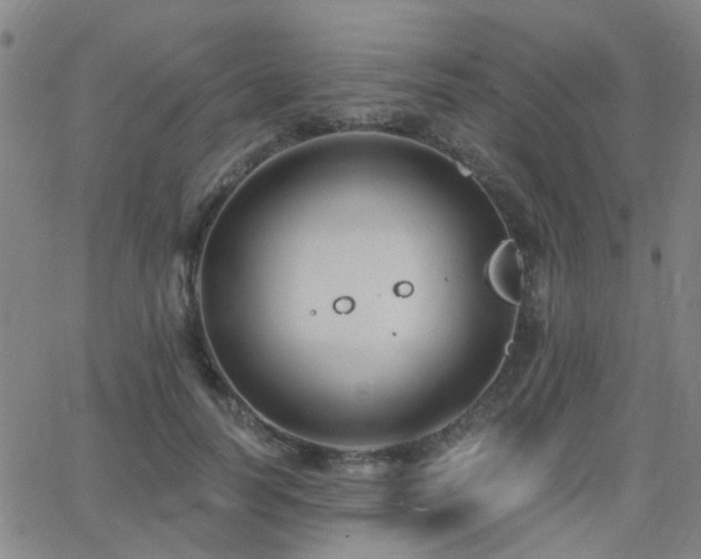 X0000062610746200512211136