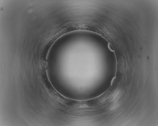 X0000062610747200512211136