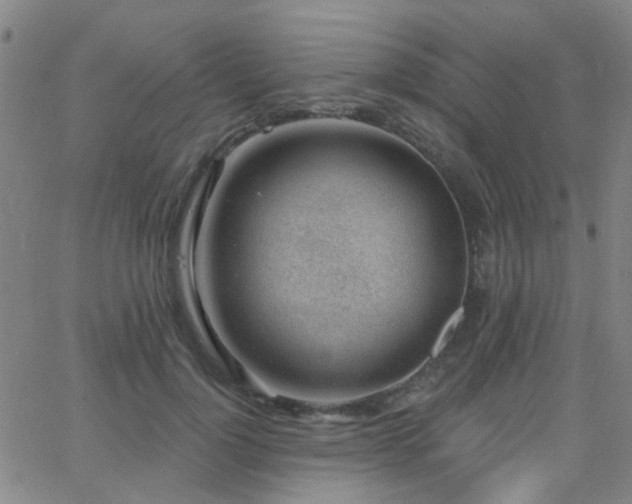 X0000062610748200512211136