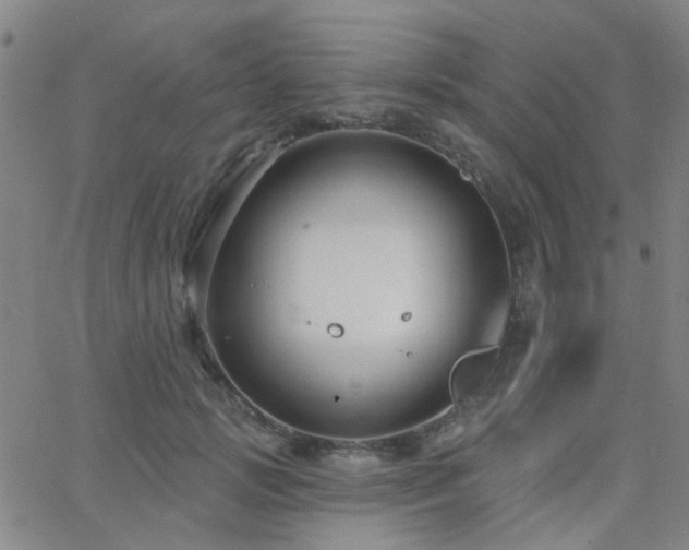 X0000062610749200512211136