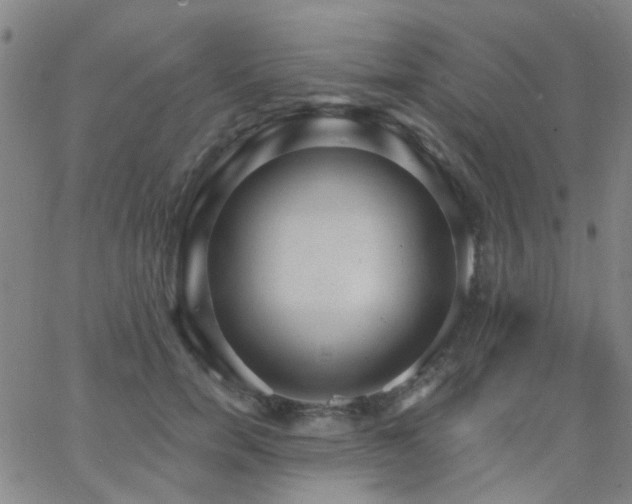 X0000062610750200512211136