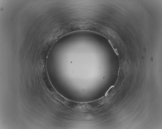 X0000062610752200512211136