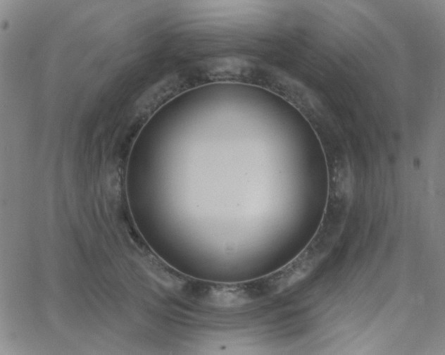 X0000062610753200512211136