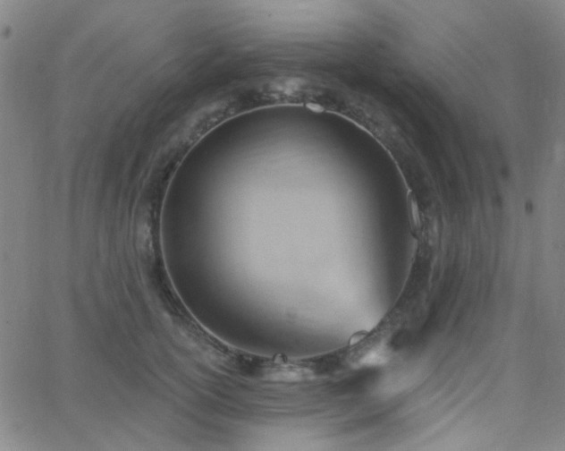 X0000062610754200512211136