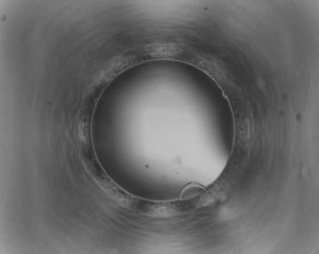 X0000062610755200512211136