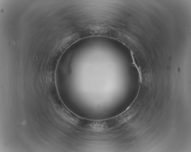 X0000062610756200512211136