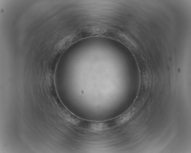 X0000062610757200512211136