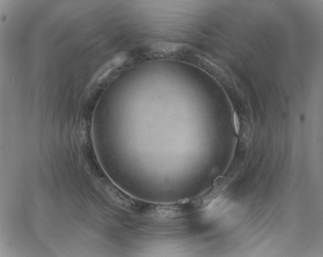 X0000062610758200512211136