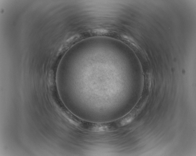 X0000062610760200512211136