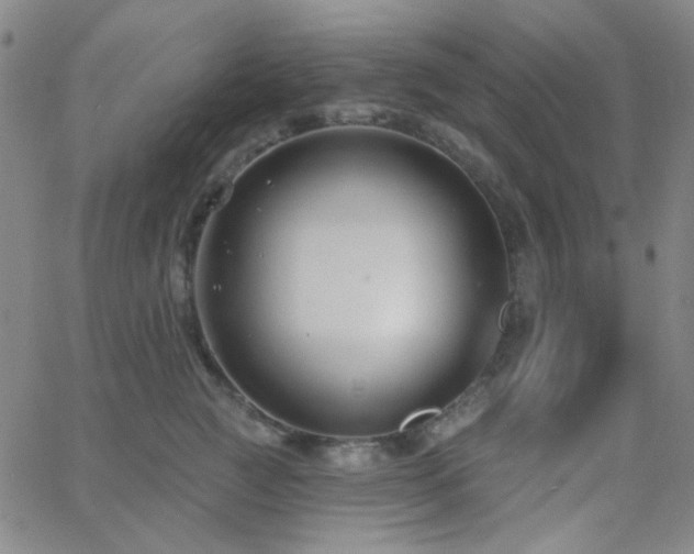 X0000062610761200512211136