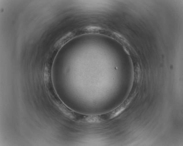 X0000062610762200512211136