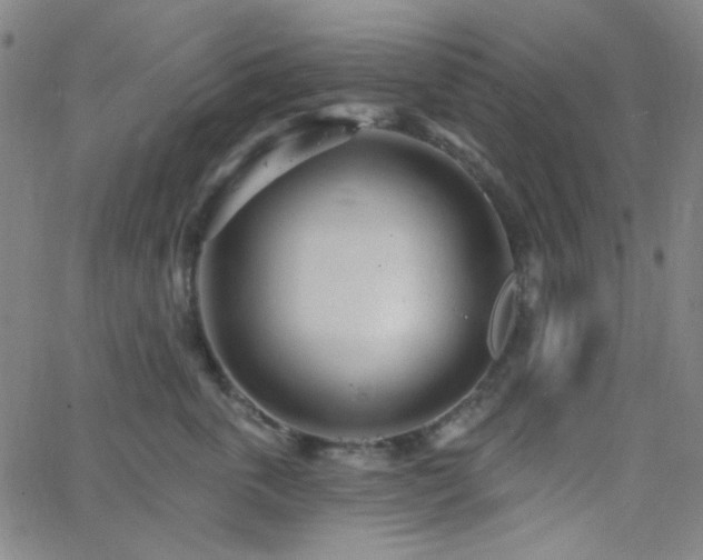 X0000062610763200512211136