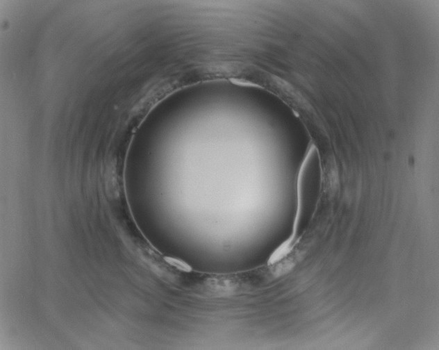 X0000062610764200512211136