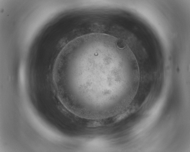 X0000062610765200512211136