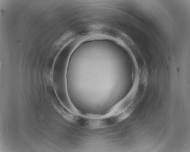 X0000062610766200512211136