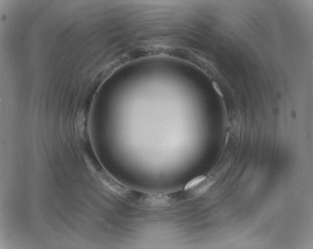 X0000062610767200512211136