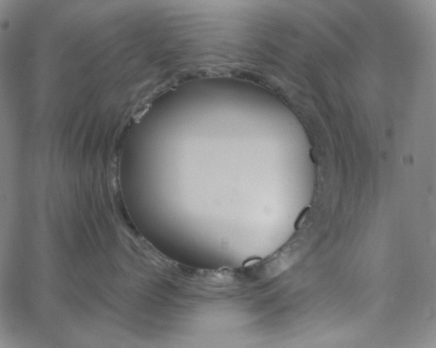 X0000062610768200512211137