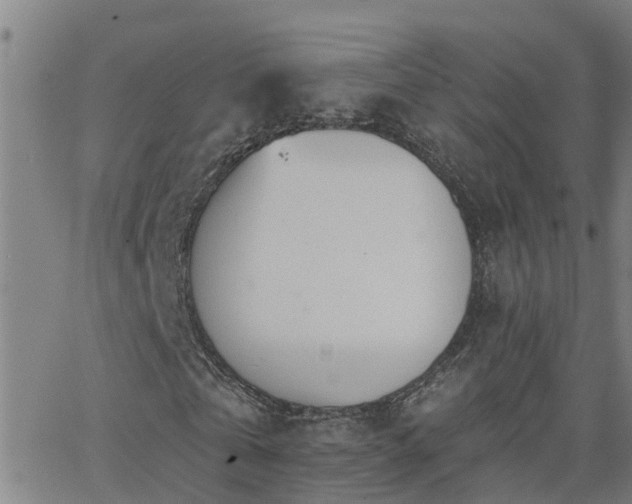 X0000062610769200512211136