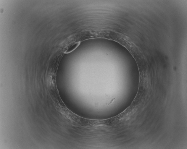 X0000062610770200512211136