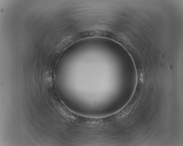 X0000062610771200512211136