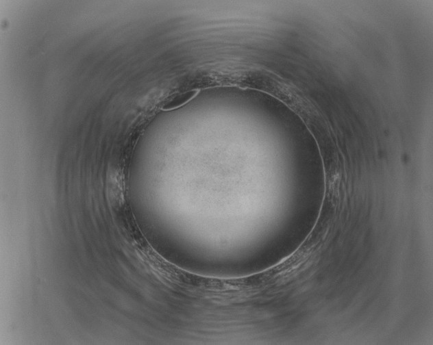 X0000062610772200512211136