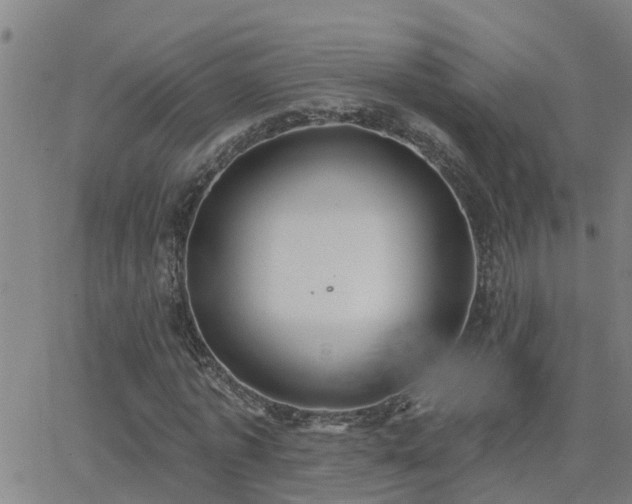 X0000062610773200512211136