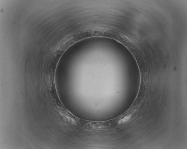 X0000062610774200512211136