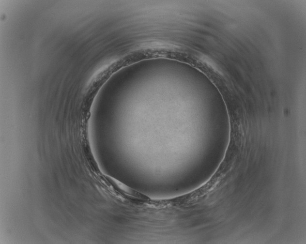 X0000062610775200512211136