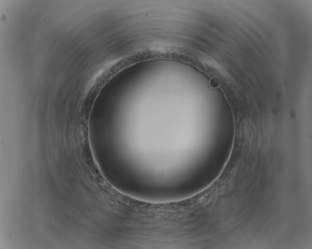 X0000062610776200512211136