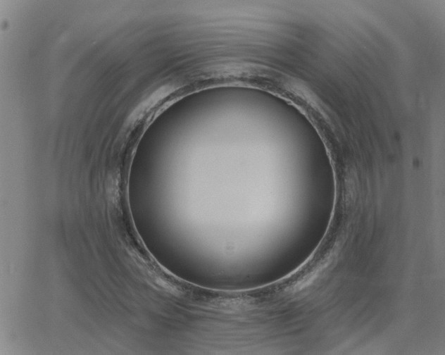 X0000062610778200512211136