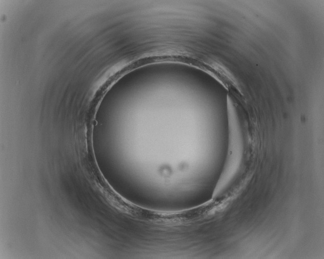 X0000062610781200512211135